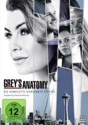 Grey's Anatomy - 14. Staffel (DE)