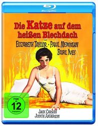 Die Katze auf dem heissen Blechdach (DE)