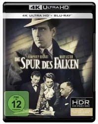 Die Spur des Falken (DE)