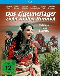 Das Zigeunerlager zieht in den Himmel (DE)