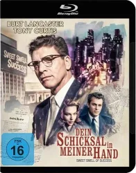Dein Schicksal in meiner Hand (DE)
