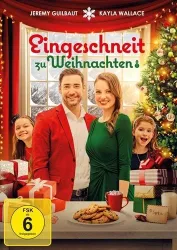 Eingeschneit zu Weihnachten (DE)