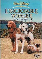 L'Incroyable voyage 2 (FR)