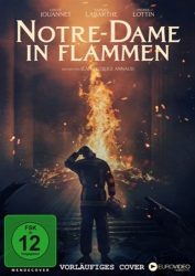 Notre Dame in Flammen (DE)