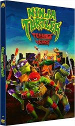 Ninja Turtles : Teenage Years (FR)