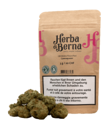 Cannaqueen CBD Blüten Indoor - 10g