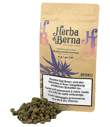 Blueberry Muffin Minibuds Small CBD Buds Indoor - 21g