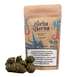 Power Plant CBD Blüten Indoor - 12g