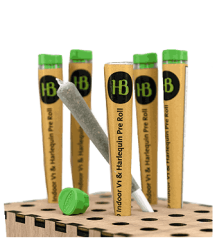 V1 + Harlequin Trim Pre-Rolls CBD Joints Indoor - 1pc