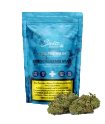 Critical Sensi Star CBD Blüten Indoor - 12g
