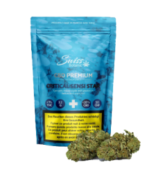 Critical Sensi Star CBD Blüten Indoor - 12g