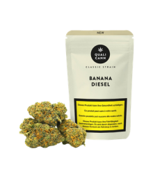 Banana Diesel CBD Blüten Indoor - 8g