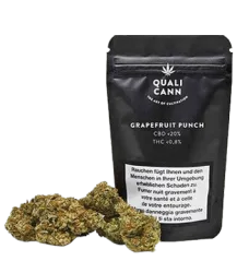 Grapefruit Punch CBD Blüten Indoor - 2g
