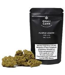 Purple Lemon CBD Blüten Indoor - 5.5g