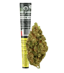 Passion Kush Vorgedrehter CBD-Joint Indoor - 1pc