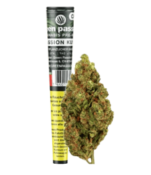 Passion Kush Vorgedrehter CBD-Joint Indoor - 1pc