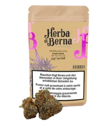 Purple Punch CBD Blüten Indoor - 12g