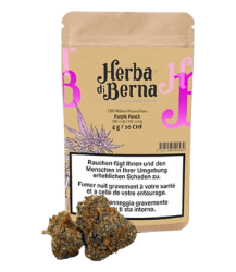 Purple Punch CBD Blüten Indoor - 12g