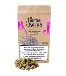 Purple Punch Minibuds Small CBD Buds Indoor - 21g