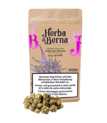 Purple Punch Minibuds Small CBD Buds Indoor - 21g