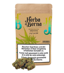 Tropical Punch CBD Blüten Indoor - 4g