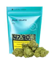 Blue Gelato CBD Blüten Indoor - 10g