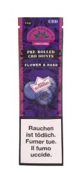 Blueberry Pre-Rolls Vorgerollte CBD Joints mit CBD Hanf + Hasch - 2pc