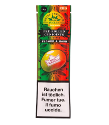 Mango Haze Pre-Rolls Vorgerollte CBD Joints mit CBD Hanf + Hasch - 2pc