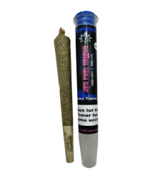 Jet Fuel Gelato Fertig Gedrehte CBD Joints Indoor - 1pc