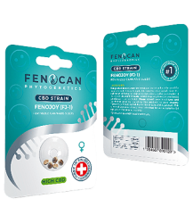 Fenojoy CBD Samen Feminisiert - 5pc
