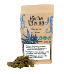 Harlequin Minibuds Small CBD Buds Indoor - 21g