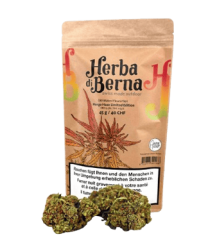 Mango Haze CBD Blüten Outdoor - 45g