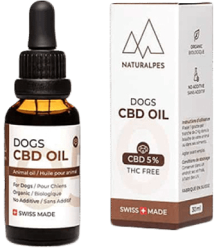 Cats & Dogs 5% CBD Öl ohne THC für Haustiere - 10ml