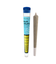 Blue Gelato Pre-Rolls Fertige CBD Joint mit Indoor Hanf - 1pc