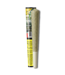 Crunch Punch Vorgedrehter CBD-Joint Indoor 100% Trim - 1pc