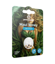 Maui Wowy CBD Samen Feminisiert - 5pc