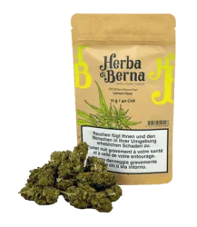 Lemon Haze CBD Blüten Indoor - 10g