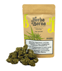 Lemon Haze CBD Blüten Indoor - 10g