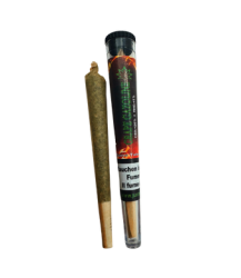 Grappe Gazoline Vorgerollter CBD Joint Indoor - 1pc