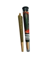 Grappe Gazoline Vorgerollter CBD Joint Indoor - 1pc