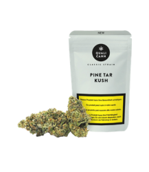 Pine Tar Kush CBD Blüten Indoor - 8g