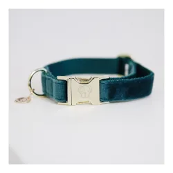 Kentucky Dogwear Hundehalsband Velvet - emerald