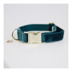 Kentucky Dogwear Hundehalsband Velvet - emerald