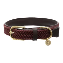 Kentucky Dogwear Hundehalsband Nylon geflochten - bordeaux