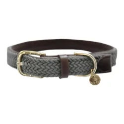 Kentucky Dogwear Hundehalsband Nylon geflochten - grau