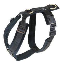 Kentucky Dogwear Hundegeschirr Active Velvet