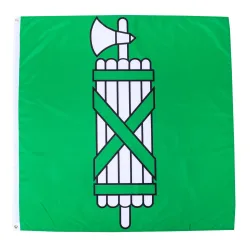 Kantonsflagge St. Gallen 120 x 120 cm