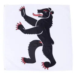 Kantonsflagge Appenzell Innerrhoden 120 x 120 cm