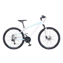 Mountainbike 26