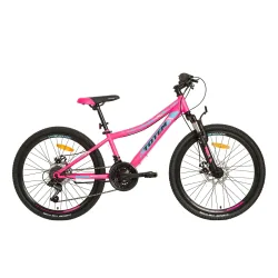 Mountainbike 24